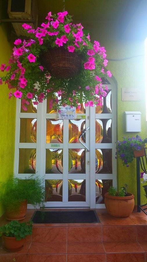 Motel Ioanis Mîndruloc Εξωτερικό φωτογραφία